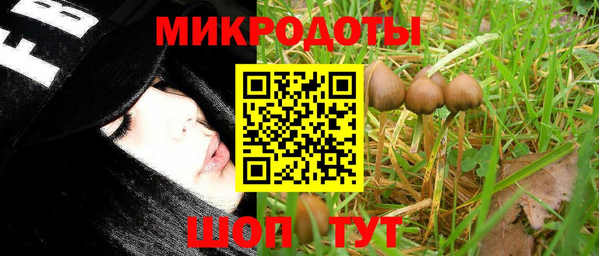 Псилоцибиновые грибы мицелий Альметьевск