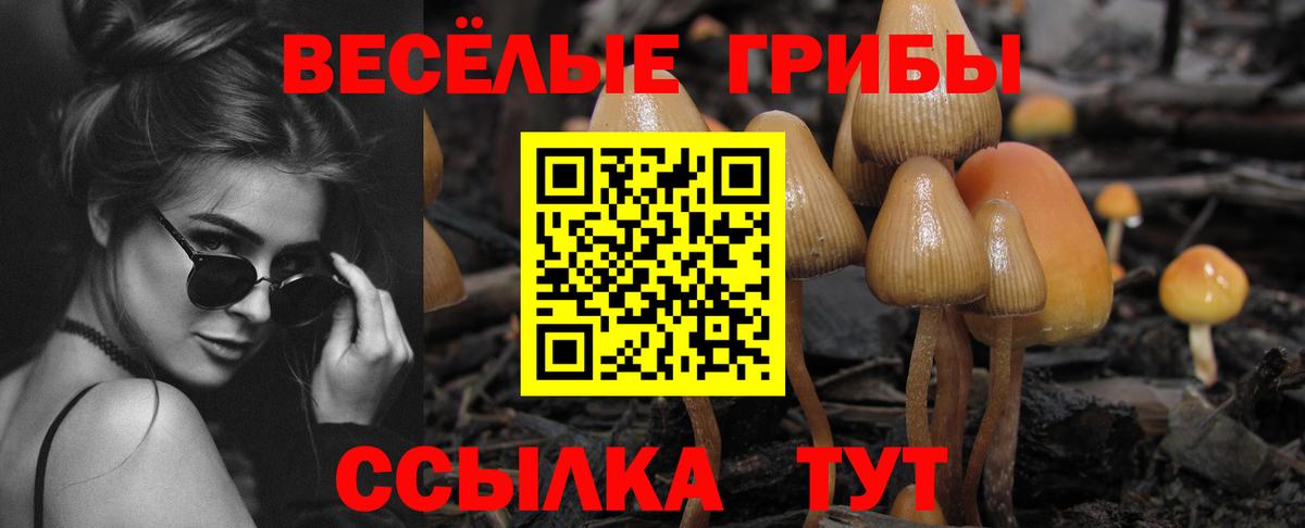 купить наркотик  Вход с VPN  Альметьевск  Псилоцибиновые грибы мицелий 
