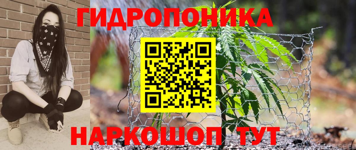 Альметьевск  Марихуана AK-47  Канабис OG Kush  Вход с VPN  Бошки Шишки семена 